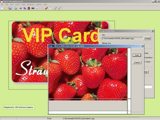 screenshot of CR8 for Windows 3.01